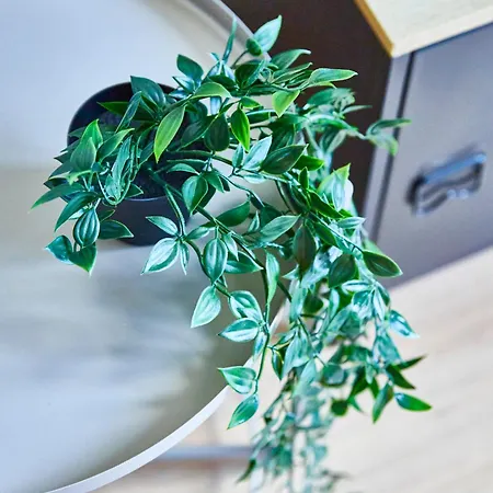 Be-4g - Joli 2 Pieces Equipe Pour 1-2 Pers Au 4eme Etage Au Centre De *